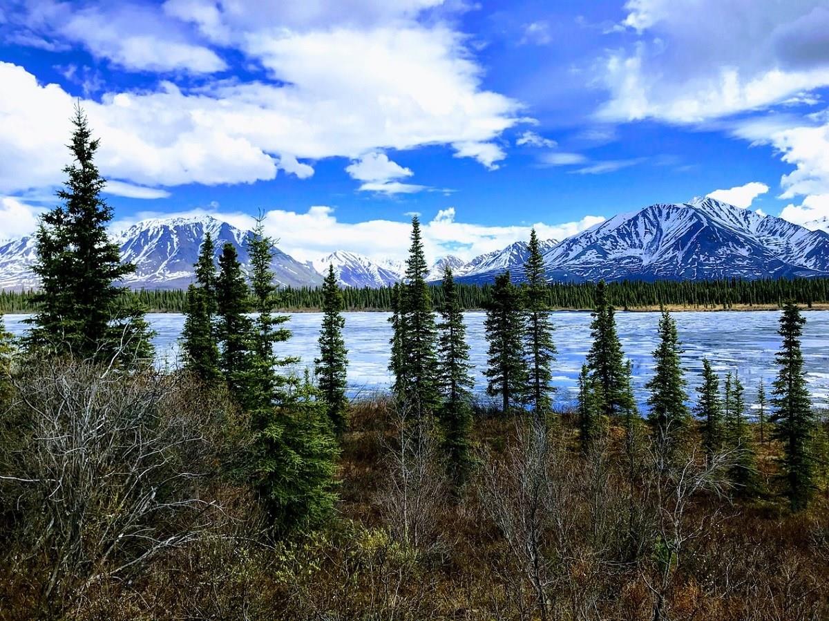 Talkeetna